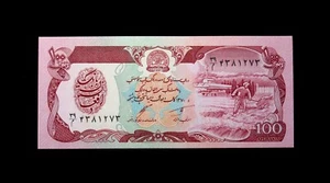 Afghanistan 100 Afghani Banknotes GEM UNC Free Shipping (B565) - Picture 1 of 2