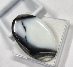 57 Ct Natural Dendrite Opal Oval Cabochon Polished Smooth Flat Back Gemstone - Picture 1 of 5