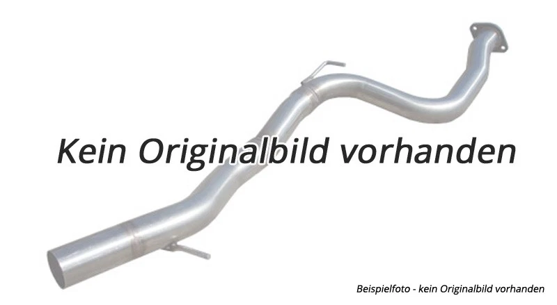 Ragazzon Kat E Filtro Antiparticolato Per VW T5 2.0L TDI 103KW 2009-2016 - Immagine 1 di 1