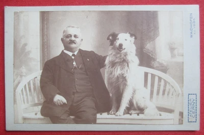 Orig. Kabinett-Foto Herr Bürgertum Hund Dog Cane Border Collie Waidhofen um 1918 - Bild 1 von 4