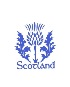 SCHOTTLAND SCHOTTISCHE DISTEL Vinyl Aufkleber Sticker Auto Wohnmobil Caravan Van Fenster - Bild 1 von 2