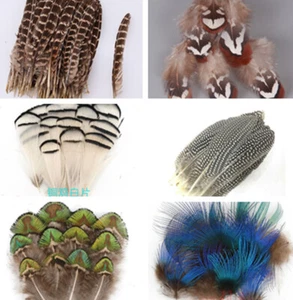 100pcs Natural Chicken Peacock Feathers Feather of Pheasant Tail DIY Jewelry - Picture 1 of 12