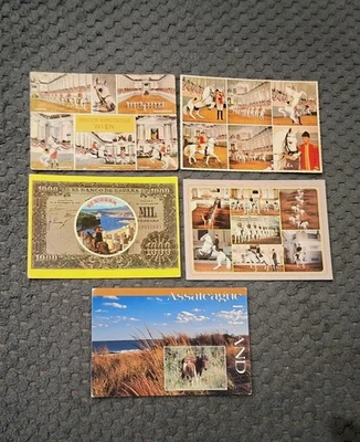 5 AK Pferdepostkarten mit Pferd, Spanische Hofreitschule - Bild 1 von 4