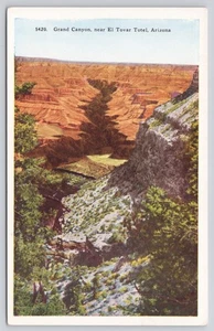 Grand Canyon Near El Tovar Hotel (Totel Misprint) Arizona AZ Postcard - Picture 1 of 2