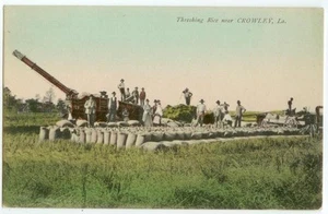 Trilladora de arroz Crowley Louisiana c1908 equipo de granja - con máquina de vapor - Imagen 1 de 1