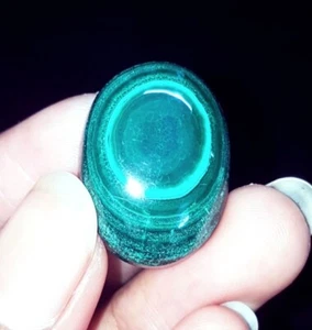 Gema de forma ovalada certificada de piedras preciosas sueltas cabujón de malaquita 100 % natural de 36,82 quilates - Imagen 1 de 8