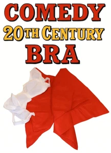 Reggiseno Deluxe COMMEDIA 20TH CENTURY Seta Hanky Magic Trick Gag Biancheria Intima Sconcertante 17" - Foto 1 di 9