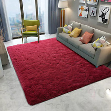 DETUM Wine Red Rug 4X6 Feet - Fluffy Burgundy Red Area Rugs for Bedroom Shaggy 4