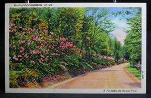 Pennsylvania Beauty View - Rhododendren Drive - not posted - Picture 1 of 2