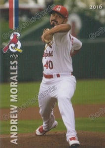 Springfield Cardinals Andrew Morales 2016 radiocontrol novato St Louis - Imagen 1 de 1