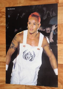 Rey Mysterio / Lita WWF WWE Wrestling Magazine Vintage Poster - Picture 1 of 5