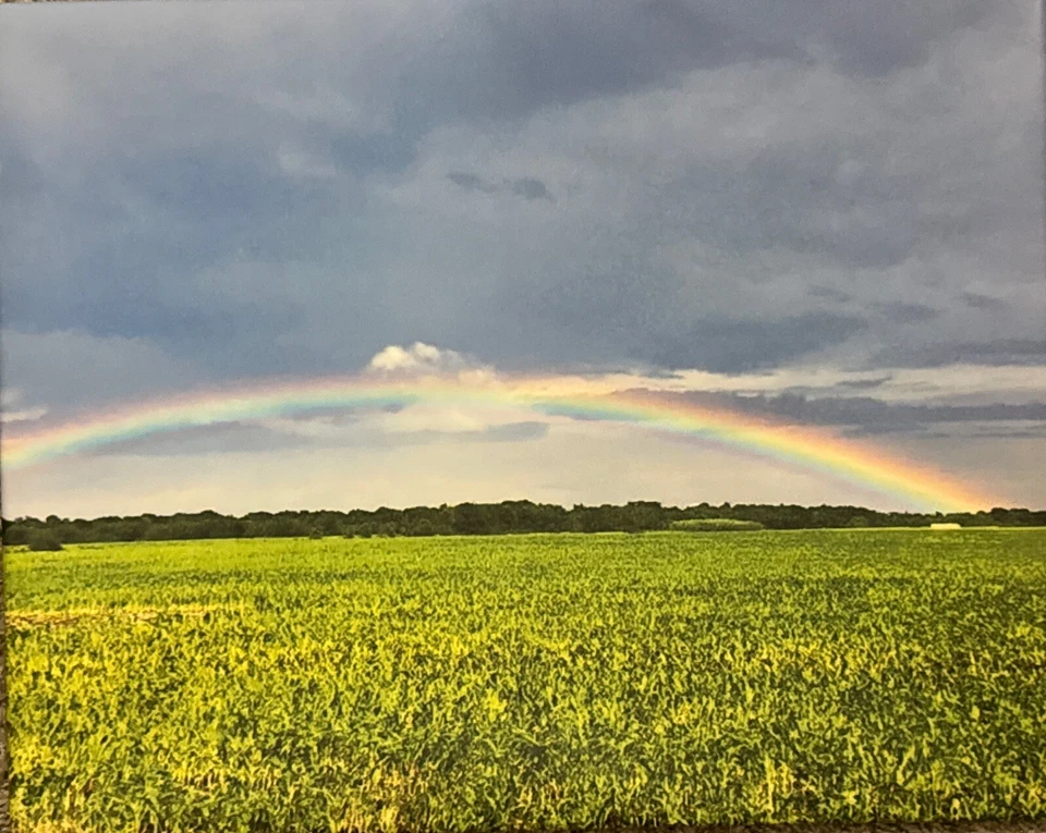 16x20 Rainbow Photo  OOAK Wall Art - Image 1 of 1