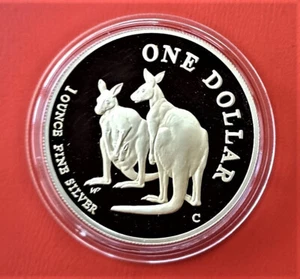 1999 Australien 1 $ Kangaroo Känguruh Proof 1oz Silber 999/1000 NUR 11.250 Münze - Bild 1 von 2