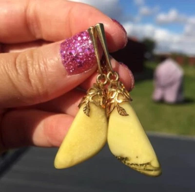 Authentic Baltic Yellow Amber Earrings Silver Gold plated Hook Luxury Gift - Image 1 of 4