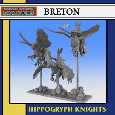 Breton Hippogryph Knight Miniatura 32mm D&D Pathfinder ToW AoS Proxy Bretonnia - Immagine 1 di 4