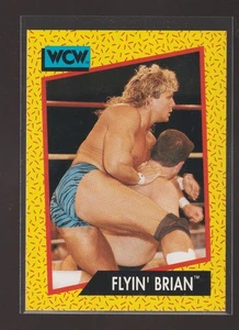 Tarjeta de estreno 1991 WCW Impel #57 Flyin' Brian Stomp Collection - Imagen 1 de 2