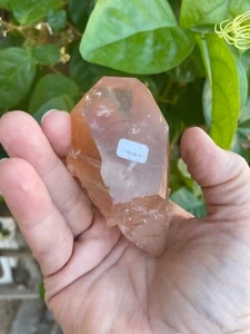 Tangerine Lemurian Seed Quartz Point 168g 90mm Record Keeper Reiki Crystal - Picture 1 of 12