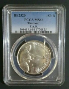 1977 THAILAND COIN 150 BAHT F.A.O. PCGS MS66 - Picture 1 of 2