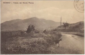 BOBBIO - VEDUTA DEL MONTE PENICE (PIACENZA) - Picture 1 of 1