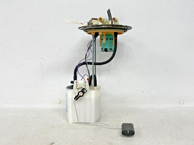 ⭐2015-2017 FORD F-150 5,0 L BOMBA DE COMBUSTIBLE TANQUE ENVÍO UNIDAD MONTAJE OEM LOTE2569 Foto 1 de 4