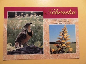 Nebraska Vintage Postkarte Staatsblume & Staatsvogel - Bild 1 von 2