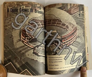 BROOKLYN DODGERS STADIUM 1956 BUCKMINSTER FULLER DOME CONCEPT ILLUSTRATION - Picture 1 of 1
