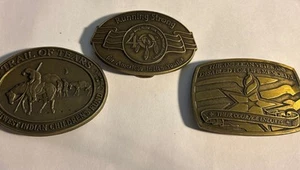 Lot Of 3 VTG Brass Belt Buckles Trail Of Tears, Running Strong American Veteran - Picture 1 of 8