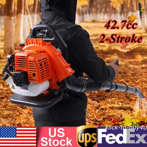 Soplador de hojas de polvo de motor de gasolina 42,7 cc 2 tiempos 1,25 KW mochila soplador de nieve - Imagen 1 de 16