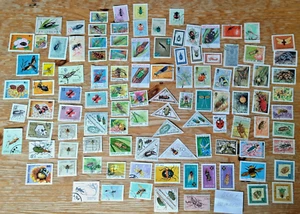 BCH1-100 SELLOS DIFERENTES INSECTOS, FOTO REALES, SELLOS TEMÁTICOS - Imagen 1 de 1