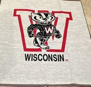 8 Vintage Wisconsin Badgers Pre Cut Fabric Squares Bucky Badger Logo 17” - Picture 1 of 2
