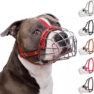 Pitbull Dog Muzzle Breathable Metal Basket for Large Dogs Amstaff Staffordshire - Picture 1 of 5