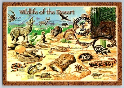 #3506j Great Plains Prairie Grasshopper and Kangaroo Rat FDC Maxi Card - Image 1 of 2