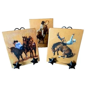 Carolyn Cheney Juego de 3 Impresiones Artísticas Rodeo Western Southwestern Nuevas en Paquete - Imagen 1 de 4