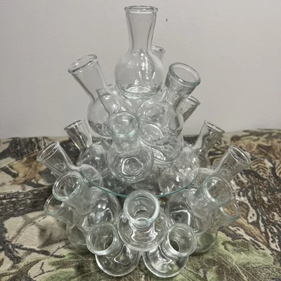 De Colección Vaso de Vidrio Estación de Propagación de Plantas 25 Tubo de Prueba Jarrón Rooter 2 Piezas MCM Foto 1 de 4