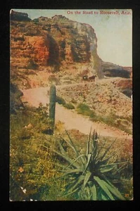 1910s Horses and Buggy On the Road to Roosevelt AZ Gila Co Postcard Arizona - Picture 1 of 1