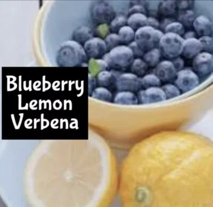 BLUEBERRY LEMON VERBENA Roll On Perfume Cologne Body Lotion Scrub Spray Bath Oil - Picture 1 of 11