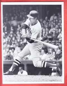 1970   BOSTON RED SOX    TYPE 1      GLOSSY   7 X 9    CARL YASTRZEMSKI - Picture 1 of 2