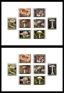 DJIBOUTI 2024 DELUXE PROOF - REGULAR & OVERPRINT - POISONOUS MUSHROOMS MUSHROOM - Picture 1 of 1