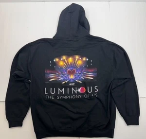 Disney World Parks Epcot Luminous Fireworks Hoodie Sweatshirt L XL 2XL 3XL - Picture 1 of 2