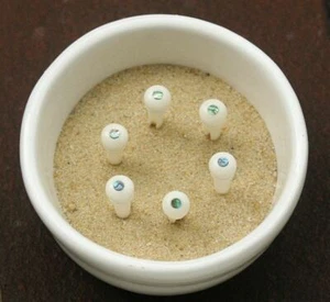 Bridge Pins, Brückenstöcker, Steg-Pins Knochen, bone bridge pins with abalone - Bild 1 von 1
