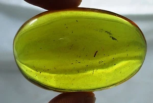 Bonito ámbar dominicano de 6,5 gramos con inclusión de insectos fósiles pequeños - Imagen 1 de 5