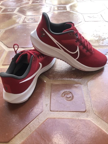 Nike Air Zoom Pegasus 39 Tampa Bay Bucs Men's Size 11.5 Running  DR2062-600 Cover