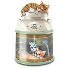 The Bradford Exchange Tea Kitten Canister Collection Issue #1 10 to11.73-inches