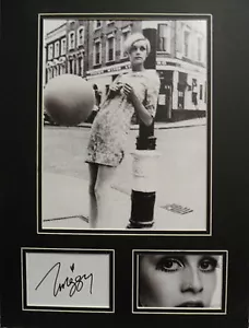 TWIGGY LAWSON signiertes 16x12 Foto Display 60er Mode Ikone & Laufsteg Model COA - Bild 1 von 1