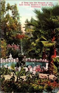 a peep into the the grounds late lucky baldwin home postcard - Picture 1 of 2