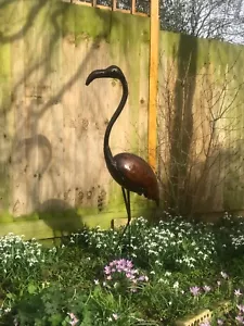 Flamingo - Picture 1 of 8