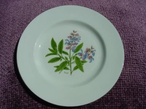 Royal Sutherland HM Sage Dessert Plate Fine Bone China Made in England - Picture 1 of 8