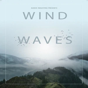 Relaxing Nature Sounds CD: Wind & Waves - Stress Relief, Meditation, Sleep Aid - Picture 1 of 1