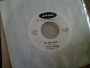 TITUS TURNER - DO YOU DIG IT * SOUL FUNK 7" 45 - Bild 1 von 1