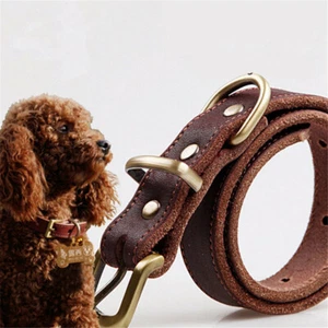 Brown soft leather rolled dog collar training strong labrador - Picture 1 of 10